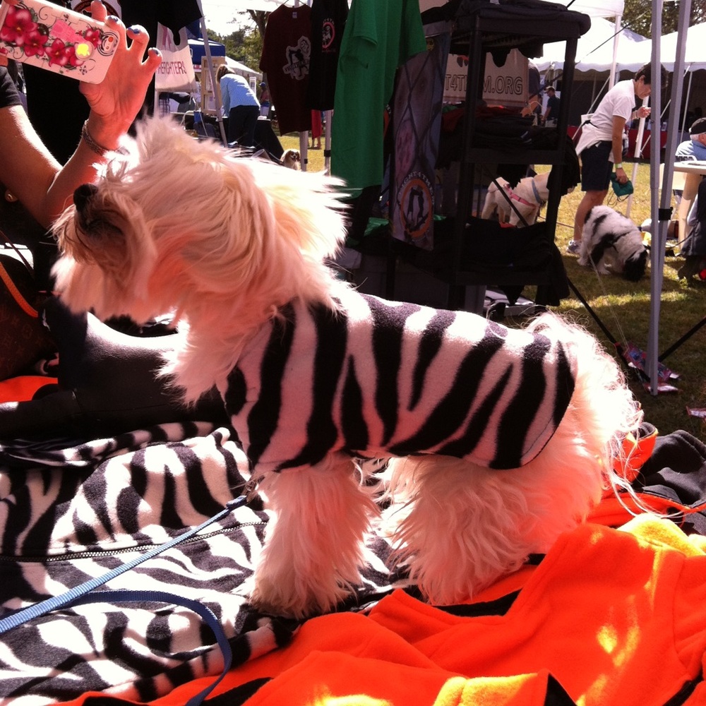 Fleece adjustable vest.